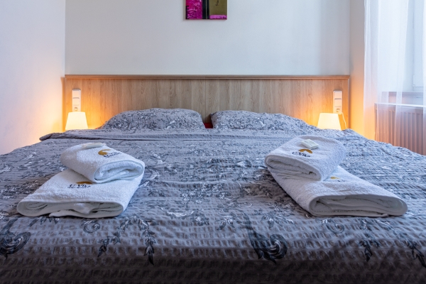 Hotel U Vlka